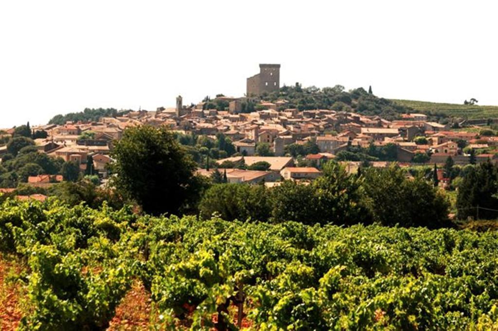 Le Mas De L'Amandier Saint-Saturnin-lès-Avignon 외부 사진